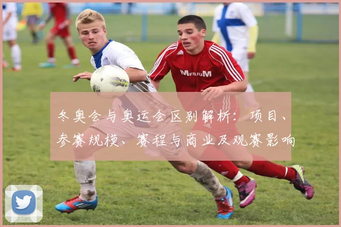 冬奥会与奥运会区别解析：项目、参赛规模、赛程与商业及观赛影响